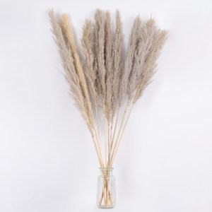 glo-36513-36513_3 GLOBOSTAR® PAMPASGRASS 36513 ΑΠΟΞΗΡΑΜΕΝΟ ΦΥΤΟ ΓΡΑΣΙΔΙ ΤΗΣ ΠΑΜΠΑΣ - ΜΠΟΥΚΕΤΟ ΔΙΑΚΟΣΜΗΤΙΚΩΝ 