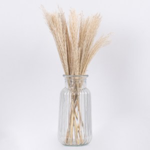 glo-36534-36534_3 GLOBOSTAR® MISCANTHUS 36534 ΑΠΟΞΗΡΑΜΕΝΟ ΦΥΤΟ ΜΙΣΧΑΝΘΟΣ - ΜΠΟΥΚΕΤΟ ΔΙΑΚΟΣΜΗΤΙΚΩΝ ΚΛΑΔΙΩΝ ΜΠ