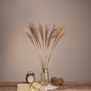 glo-36536-36536_0 GLOBOSTAR® MISCANTHUS 36536 ΑΠΟΞΗΡΑΜΕΝΟ ΦΥΤΟ ΜΙΣΧΑΝΘΟΣ - ΜΠΟΥΚΕΤΟ ΔΙΑΚΟΣΜΗΤΙΚΩΝ ΚΛΑΔΙΩΝ ΜΠ