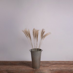 glo-36537-36537_0 GLOBOSTAR® MISCANTHUS 36537 ΑΠΟΞΗΡΑΜΕΝΟ ΦΥΤΟ ΜΙΣΧΑΝΘΟΣ - ΜΠΟΥΚΕΤΟ ΔΙΑΚΟΣΜΗΤΙΚΩΝ ΚΛΑΔΙΩΝ ΜΠ