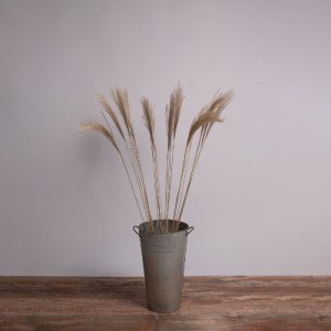 glo-36538-36538_0 GLOBOSTAR® MISCANTHUS 36538 ΑΠΟΞΗΡΑΜΕΝΟ ΦΥΤΟ ΜΙΣΧΑΝΘΟΣ - ΜΠΟΥΚΕΤΟ ΔΙΑΚΟΣΜΗΤΙΚΩΝ ΚΛΑΔΙΩΝ ΜΠ
