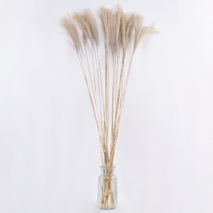 glo-36538-36538_3 GLOBOSTAR® MISCANTHUS 36538 ΑΠΟΞΗΡΑΜΕΝΟ ΦΥΤΟ ΜΙΣΧΑΝΘΟΣ - ΜΠΟΥΚΕΤΟ ΔΙΑΚΟΣΜΗΤΙΚΩΝ ΚΛΑΔΙΩΝ ΜΠ