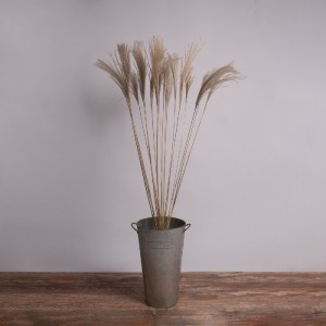 glo-36539-36539_0 GLOBOSTAR® MISCANTHUS 36539 ΑΠΟΞΗΡΑΜΕΝΟ ΦΥΤΟ ΜΙΣΧΑΝΘΟΣ - ΜΠΟΥΚΕΤΟ ΔΙΑΚΟΣΜΗΤΙΚΩΝ ΚΛΑΔΙΩΝ ΜΠ
