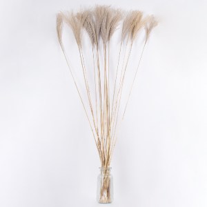 glo-36539-36539_3 GLOBOSTAR® MISCANTHUS 36539 ΑΠΟΞΗΡΑΜΕΝΟ ΦΥΤΟ ΜΙΣΧΑΝΘΟΣ - ΜΠΟΥΚΕΤΟ ΔΙΑΚΟΣΜΗΤΙΚΩΝ ΚΛΑΔΙΩΝ ΜΠ