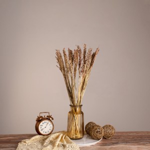 glo-36540-36540_0 GLOBOSTAR® BROOMCORN 36540 ΑΠΟΞΗΡΑΜΕΝΟ ΦΥΤΟ ΓΛΥΚΟ ΣΟΡΓΟ - ΜΠΟΥΚΕΤΟ ΔΙΑΚΟΣΜΗΤΙΚΩΝ ΚΛΑΔΙΩΝ Μ