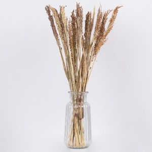glo-36540-36540_3 GLOBOSTAR® BROOMCORN 36540 ΑΠΟΞΗΡΑΜΕΝΟ ΦΥΤΟ ΓΛΥΚΟ ΣΟΡΓΟ - ΜΠΟΥΚΕΤΟ ΔΙΑΚΟΣΜΗΤΙΚΩΝ ΚΛΑΔΙΩΝ Μ