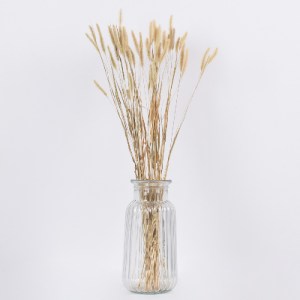 glo-36542-36542_3 GLOBOSTAR® FOUNTAINGRASS 36542 ΑΠΟΞΗΡΑΜΕΝΟ ΦΥΤΟ ΠΕΝΝΙΖΕΤΟ - ΜΠΟΥΚΕΤΟ ΔΙΑΚΟΣΜΗΤΙΚΩΝ ΚΛΑΔΙΩΝ
