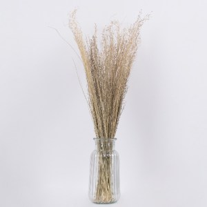 glo-36545-36545_3 GLOBOSTAR® SILVERHAIRGRASS 36545 ΑΠΟΞΗΡΑΜΕΝΟ ΦΥΤΟ ΑΣΗΜΕΝΙΑ ΧΛΟΗ - ΜΠΟΥΚΕΤΟ ΔΙΑΚΟΣΜΗΤΙΚΩΝ Κ