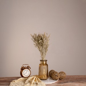 glo-36548-36548_0 GLOBOSTAR® WHEAT 36548 ΑΠΟΞΗΡΑΜΕΝΟ ΦΥΤΟ ΣΙΤΟΣ - ΜΠΟΥΚΕΤΟ ΔΙΑΚΟΣΜΗΤΙΚΩΝ ΚΛΑΔΙΩΝ ΜΠΕΖ - ΠΡΑΣ