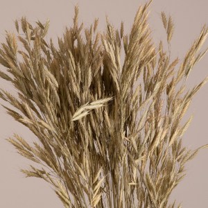 glo-36548-36548_2 GLOBOSTAR® WHEAT 36548 ΑΠΟΞΗΡΑΜΕΝΟ ΦΥΤΟ ΣΙΤΟΣ - ΜΠΟΥΚΕΤΟ ΔΙΑΚΟΣΜΗΤΙΚΩΝ ΚΛΑΔΙΩΝ ΜΠΕΖ - ΠΡΑΣ