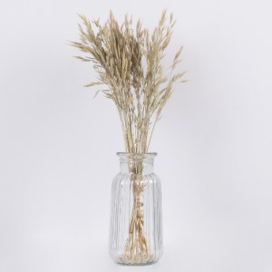 glo-36548-36548_3 GLOBOSTAR® WHEAT 36548 ΑΠΟΞΗΡΑΜΕΝΟ ΦΥΤΟ ΣΙΤΟΣ - ΜΠΟΥΚΕΤΟ ΔΙΑΚΟΣΜΗΤΙΚΩΝ ΚΛΑΔΙΩΝ ΜΠΕΖ - ΠΡΑΣ