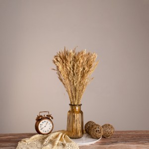 glo-36550-36550_0 GLOBOSTAR® WHEAT 36550 ΑΠΟΞΗΡΑΜΕΝΟ ΦΥΤΟ ΣΙΤΟΣ - ΜΠΟΥΚΕΤΟ ΔΙΑΚΟΣΜΗΤΙΚΩΝ ΚΛΑΔΙΩΝ ΜΠΕΖ Υ60CM