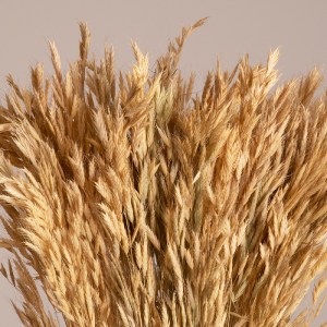 glo-36550-36550_2 GLOBOSTAR® WHEAT 36550 ΑΠΟΞΗΡΑΜΕΝΟ ΦΥΤΟ ΣΙΤΟΣ - ΜΠΟΥΚΕΤΟ ΔΙΑΚΟΣΜΗΤΙΚΩΝ ΚΛΑΔΙΩΝ ΜΠΕΖ Υ60CM