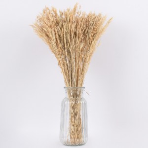 glo-36550-36550_3 GLOBOSTAR® WHEAT 36550 ΑΠΟΞΗΡΑΜΕΝΟ ΦΥΤΟ ΣΙΤΟΣ - ΜΠΟΥΚΕΤΟ ΔΙΑΚΟΣΜΗΤΙΚΩΝ ΚΛΑΔΙΩΝ ΜΠΕΖ Υ60CM