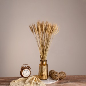 glo-36551-36551_0 GLOBOSTAR® BARLEY 36551 ΑΠΟΞΗΡΑΜΕΝΟ ΦΥΤΟ ΚΡΙΘΑΡΙ - ΜΠΟΥΚΕΤΟ ΔΙΑΚΟΣΜΗΤΙΚΩΝ ΚΛΑΔΙΩΝ ΜΠΕΖ Υ60