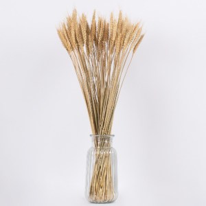 glo-36551-36551_3 GLOBOSTAR® BARLEY 36551 ΑΠΟΞΗΡΑΜΕΝΟ ΦΥΤΟ ΚΡΙΘΑΡΙ - ΜΠΟΥΚΕΤΟ ΔΙΑΚΟΣΜΗΤΙΚΩΝ ΚΛΑΔΙΩΝ ΜΠΕΖ Υ60