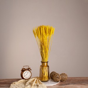 glo-36552-36552_0 GLOBOSTAR® BARLEY 36552 ΑΠΟΞΗΡΑΜΕΝΟ ΦΥΤΟ ΚΡΙΘΑΡΙ - ΜΠΟΥΚΕΤΟ ΔΙΑΚΟΣΜΗΤΙΚΩΝ ΚΛΑΔΙΩΝ ΜΠΕΖ - Κ