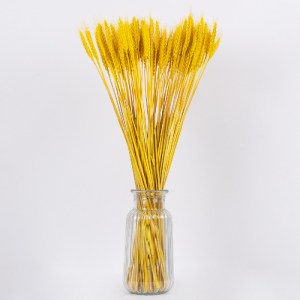 glo-36552-36552_3 GLOBOSTAR® BARLEY 36552 ΑΠΟΞΗΡΑΜΕΝΟ ΦΥΤΟ ΚΡΙΘΑΡΙ - ΜΠΟΥΚΕΤΟ ΔΙΑΚΟΣΜΗΤΙΚΩΝ ΚΛΑΔΙΩΝ ΜΠΕΖ - Κ