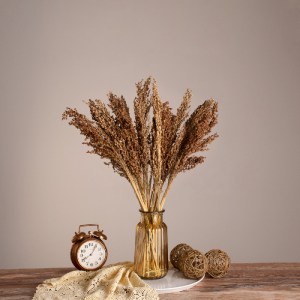 glo-36553-36553_0 GLOBOSTAR® BROOMCORN 36553 ΑΠΟΞΗΡΑΜΕΝΟ ΦΥΤΟ ΓΛΥΚΟ ΣΟΡΓΟ - ΜΠΟΥΚΕΤΟ ΔΙΑΚΟΣΜΗΤΙΚΩΝ ΚΛΑΔΙΩΝ Κ