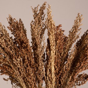 glo-36553-36553_2 GLOBOSTAR® BROOMCORN 36553 ΑΠΟΞΗΡΑΜΕΝΟ ΦΥΤΟ ΓΛΥΚΟ ΣΟΡΓΟ - ΜΠΟΥΚΕΤΟ ΔΙΑΚΟΣΜΗΤΙΚΩΝ ΚΛΑΔΙΩΝ Κ
