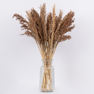 glo-36553-36553_3 GLOBOSTAR® BROOMCORN 36553 ΑΠΟΞΗΡΑΜΕΝΟ ΦΥΤΟ ΓΛΥΚΟ ΣΟΡΓΟ - ΜΠΟΥΚΕΤΟ ΔΙΑΚΟΣΜΗΤΙΚΩΝ ΚΛΑΔΙΩΝ Κ
