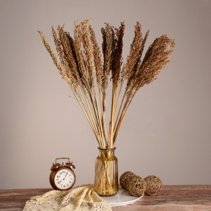 glo-36554-36554_0 GLOBOSTAR® BROOMCORN 36554 ΑΠΟΞΗΡΑΜΕΝΟ ΦΥΤΟ ΓΛΥΚΟ ΣΟΡΓΟ - ΜΠΟΥΚΕΤΟ ΔΙΑΚΟΣΜΗΤΙΚΩΝ ΚΛΑΔΙΩΝ Κ