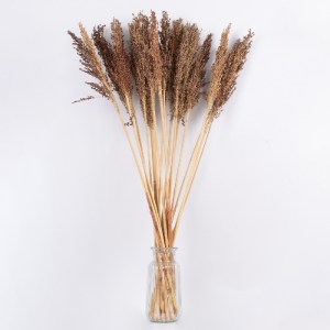 glo-36555-36555_3 GLOBOSTAR® BROOMCORN 36555 ΑΠΟΞΗΡΑΜΕΝΟ ΦΥΤΟ ΓΛΥΚΟ ΣΟΡΓΟ - ΜΠΟΥΚΕΤΟ ΔΙΑΚΟΣΜΗΤΙΚΩΝ ΚΛΑΔΙΩΝ Κ