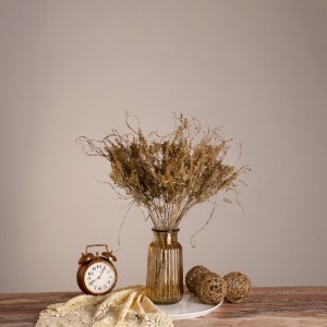 glo-36556-36556_0 GLOBOSTAR® FERNGRASS 36556 ΑΠΟΞΗΡΑΜΕΝΟ ΦΥΤΟ ΦΤΕΡΟΧΟΡΤΟ - ΜΠΟΥΚΕΤΟ ΔΙΑΚΟΣΜΗΤΙΚΩΝ ΚΛΑΔΙΩΝ ΜΠ