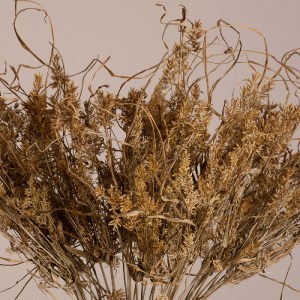 glo-36556-36556_2 GLOBOSTAR® FERNGRASS 36556 ΑΠΟΞΗΡΑΜΕΝΟ ΦΥΤΟ ΦΤΕΡΟΧΟΡΤΟ - ΜΠΟΥΚΕΤΟ ΔΙΑΚΟΣΜΗΤΙΚΩΝ ΚΛΑΔΙΩΝ ΜΠ