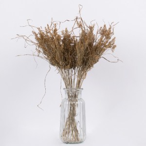 glo-36556-36556_3 GLOBOSTAR® FERNGRASS 36556 ΑΠΟΞΗΡΑΜΕΝΟ ΦΥΤΟ ΦΤΕΡΟΧΟΡΤΟ - ΜΠΟΥΚΕΤΟ ΔΙΑΚΟΣΜΗΤΙΚΩΝ ΚΛΑΔΙΩΝ ΜΠ