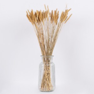 glo-36557-36557_3 GLOBOSTAR® SETARIA 36557 ΑΠΟΞΗΡΑΜΕΝΟ ΦΥΤΟ ΣΕΤΑΡΙΑ - ΜΠΟΥΚΕΤΟ ΔΙΑΚΟΣΜΗΤΙΚΩΝ ΚΛΑΔΙΩΝ ΜΠΕΖ Υ6