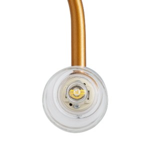 glo-60415-60415_6 GLOBOSTAR® FLORA 60415 ΜΟΝΤΕΡΝΟ ΦΩΤΙΣΤΙΚΟ ΤΟΙΧΟΥ - ΑΠΛΙΚΑ ΚΑΘΡΕΠΤΗ ΜΠΑΝΙΟΥ - ΠΙΝΑΚΑ 2 X G9