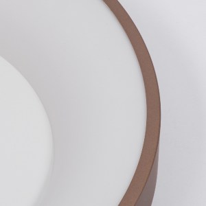 glo-61240-61240_8 GLOBOSTAR® SALEM 61240 ΠΛΑΦΟΝΙΕΡΑ ΟΡΟΦΗΣ ΔΑΧΤΥΛΙΔΙ-ΚΥΚΛΟΣ LED CCT 105W 12075LM 120° AC 220