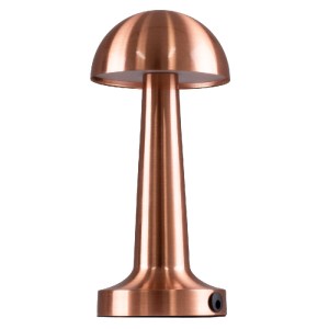 glo-76511-76511_0 GLOBOSTAR® COCO 76511 ΜΟΝΤΕΡΝΟ ΕΠΙΤΡΑΠΕΖΙΟ ΦΩΤΙΣΤΙΚΟ ΠΟΡΤΑΤΙΦ LED 1.5W 105LM 120° DC 5V ΕΠ