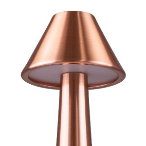 glo-76517-76517_7 GLOBOSTAR® MOLLY 76517 ΜΟΝΤΕΡΝΟ ΕΠΙΤΡΑΠΕΖΙΟ ΦΩΤΙΣΤΙΚΟ ΠΟΡΤΑΤΙΦ LED 1.5W 105LM 120° DC 5V Ε