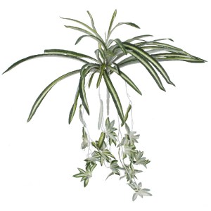glo-78217-78217_0 GLOBOSTAR® SPIDER PLANT 78217 ΤΕΧΝΗΤΟ ΦΥΤΟ ΧΛΩΡΟΦΥΤΟ - ΜΠΟΥΚΕΤΟ ΔΙΑΚΟΣΜΗΤΙΚΩΝ ΦΥΤΩΝ - ΚΛΑΔ
