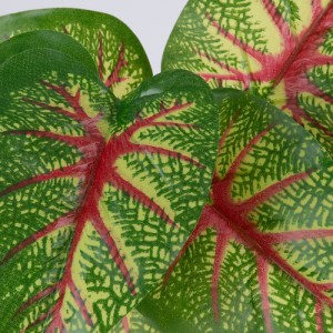 glo-78218-78218_2 GLOBOSTAR® CALADIUM 78218 ΤΕΧΝΗΤΟ ΦΥΤΟ ΚΑΛΑΔΙΟ - ΜΠΟΥΚΕΤΟ ΔΙΑΚΟΣΜΗΤΙΚΩΝ ΦΥΤΩΝ - ΚΛΑΔΙΩΝ ΜΕ