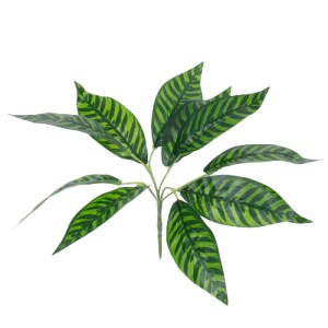 glo-78221-78221_0 GLOBOSTAR® ZEBRA PLANT 78221 ΤΕΧΝΗΤΟ ΦΥΤΟ ΖΕΒΡΑ - ΜΠΟΥΚΕΤΟ ΔΙΑΚΟΣΜΗΤΙΚΩΝ ΦΥΤΩΝ - ΚΛΑΔΙΩΝ Μ