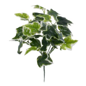 glo-78228-78228_0 GLOBOSTAR® ALGERIAN IVY 78228 ΤΕΧΝΗΤΟ ΦΥΤΟ ΑΛΓΕΡΙΝΟΣ ΚΙΣΣΟΣ - ΜΠΟΥΚΕΤΟ ΔΙΑΚΟΣΜΗΤΙΚΩΝ ΦΥΤΩΝ