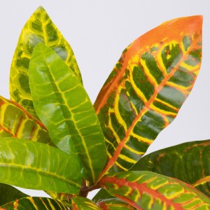 glo-78235-78235_2 GLOBOSTAR® MIXED CROTON 78235 ΤΕΧΝΗΤΟ ΦΥΤΟ ΚΡΟΤΩΝΑΣ ΜΙΞ - ΜΠΟΥΚΕΤΟ ΔΙΑΚΟΣΜΗΤΙΚΩΝ ΦΥΤΩΝ - Κ