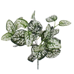 glo-78259-78259_0 GLOBOSTAR® POLKA DOT PLANT 78259 ΤΕΧΝΗΤΟ ΦΥΤΟ ΠΟΛΚΑ - ΜΠΟΥΚΕΤΟ ΔΙΑΚΟΣΜΗΤΙΚΩΝ ΦΥΤΩΝ - ΚΛΑΔΙ
