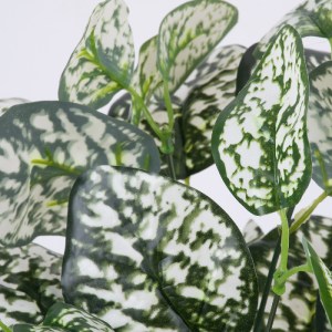 glo-78259-78259_2 GLOBOSTAR® POLKA DOT PLANT 78259 ΤΕΧΝΗΤΟ ΦΥΤΟ ΠΟΛΚΑ - ΜΠΟΥΚΕΤΟ ΔΙΑΚΟΣΜΗΤΙΚΩΝ ΦΥΤΩΝ - ΚΛΑΔΙ