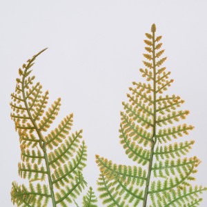 glo-78269-782692 GLOBOSTAR® FERN 78269 ΤΕΧΝΗΤΟ ΦΥΤΟ ΦΤΕΡΗ - ΜΠΟΥΚΕΤΟ ΔΙΑΚΟΣΜΗΤΙΚΩΝ ΦΥΤΩΝ - ΚΛΑΔΙΩΝ ΜΕ ΦΥΛΛΩ