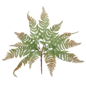 glo-78269-78269_0 GLOBOSTAR® FERN 78269 ΤΕΧΝΗΤΟ ΦΥΤΟ ΦΤΕΡΗ - ΜΠΟΥΚΕΤΟ ΔΙΑΚΟΣΜΗΤΙΚΩΝ ΦΥΤΩΝ - ΚΛΑΔΙΩΝ ΜΕ ΦΥΛΛΩ