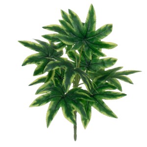 glo-78272-78272_0 GLOBOSTAR® RICE PAPER PLANT 78272 ΤΕΧΝΗΤΟ ΦΥΤΟ ΤΕΤΡΑΠΑΝΑΞ - ΜΠΟΥΚΕΤΟ ΔΙΑΚΟΣΜΗΤΙΚΩΝ ΦΥΤΩΝ -