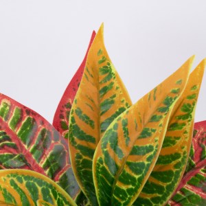 glo-78275-78275_2 GLOBOSTAR® RED AGLAONEMA 78275 ΤΕΧΝΗΤΟ ΦΥΤΟ ΑΓΛΑΟΝΗΜΑ ΚΟΚΚ. - ΜΠΟΥΚΕΤΟ ΔΙΑΚΟΣΜΗΤΙΚΩΝ ΦΥΤΩΝ