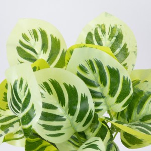 glo-78276-78276_2 GLOBOSTAR® WHITE PEPEROMIA 78276 ΤΕΧΝΗΤΟ ΦΥΤΟ ΠΕΠΕΡΟΜΙΑ ΛΕΥΚΗ - ΜΠΟΥΚΕΤΟ ΔΙΑΚΟΣΜΗΤΙΚΩΝ ΦΥΤ