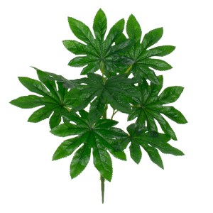 glo-78283-78283_0 GLOBOSTAR® FATSIA 78283 ΤΕΧΝΗΤΟ ΦΥΤΟ ΦΑΤΣΙΑ - ΜΠΟΥΚΕΤΟ ΔΙΑΚΟΣΜΗΤΙΚΩΝ ΦΥΤΩΝ - ΚΛΑΔΙΩΝ ΜΕ ΦΥ