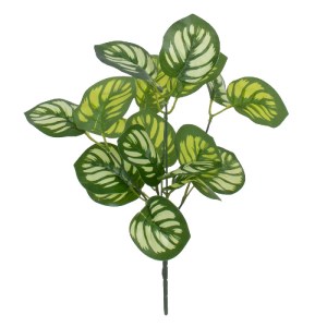 glo-78286-78286_0 GLOBOSTAR® GREEN PEPEROMIA 78286 ΤΕΧΝΗΤΟ ΦΥΤΟ ΠΕΠΕΡΟΜΙΑ ΠΡΑΣΙΝΗ - ΜΠΟΥΚΕΤΟ ΔΙΑΚΟΣΜΗΤΙΚΩΝ Φ