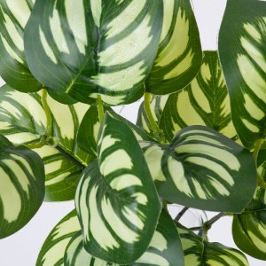 glo-78286-78286_2 GLOBOSTAR® GREEN PEPEROMIA 78286 ΤΕΧΝΗΤΟ ΦΥΤΟ ΠΕΠΕΡΟΜΙΑ ΠΡΑΣΙΝΗ - ΜΠΟΥΚΕΤΟ ΔΙΑΚΟΣΜΗΤΙΚΩΝ Φ